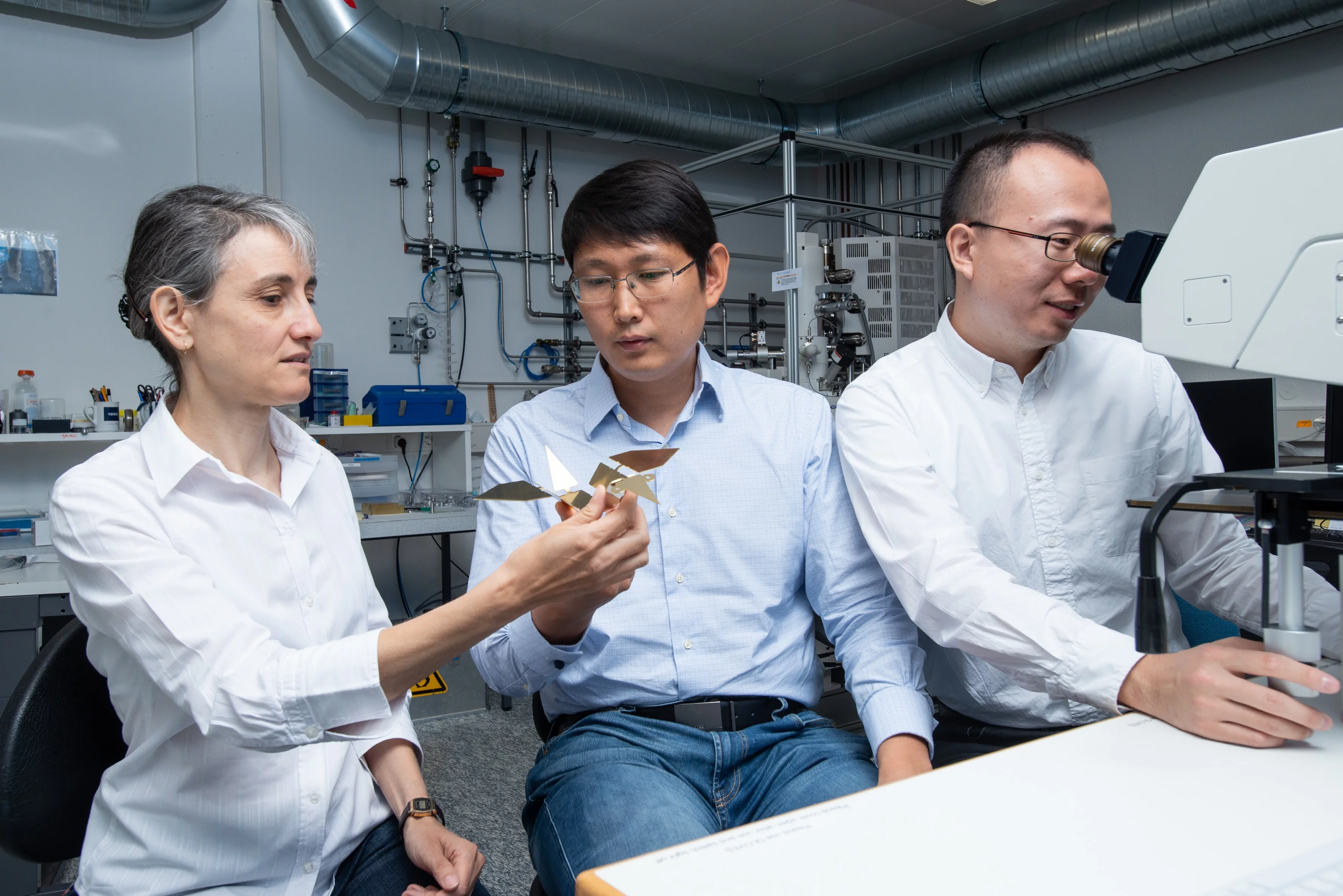 Laura Heyderman, Tian-Yun Huang und Jizhai Cui