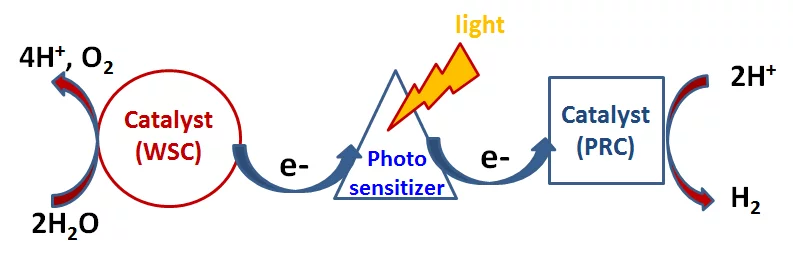 Scheme of artificial photosynthesis