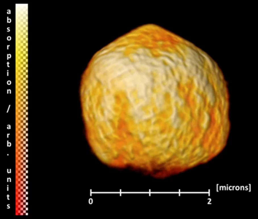 SPION coated microballoon