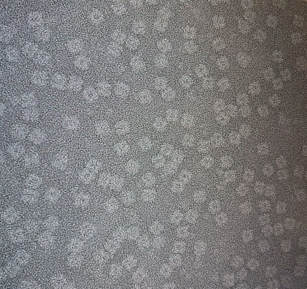 Protein Nanoparticles 