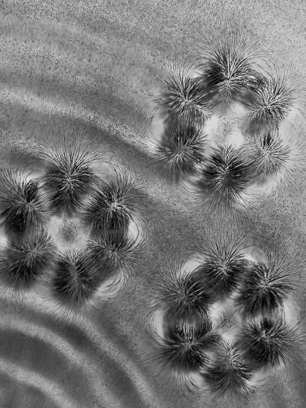 Graphical representation of a liquid of magnetic multipoles