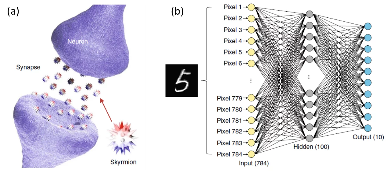 Sketch of the operations principle of a skyrmion artificial neural network