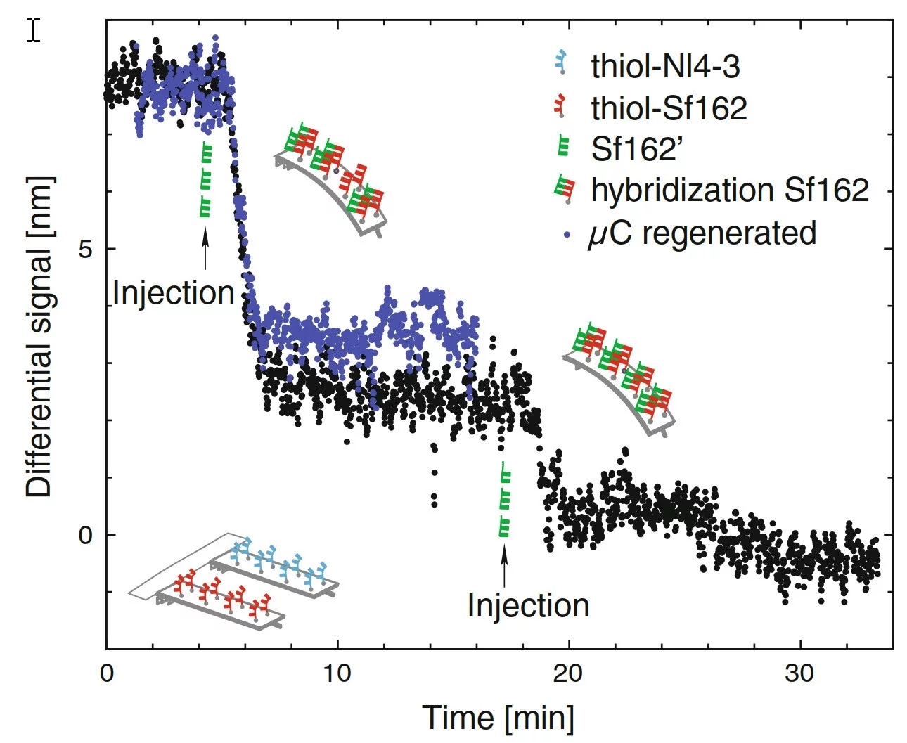 Sensing of DNA using cantilever arrays