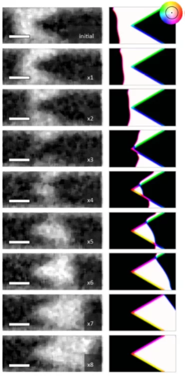 Operation of a domain wall NOT gate imaged with STXM