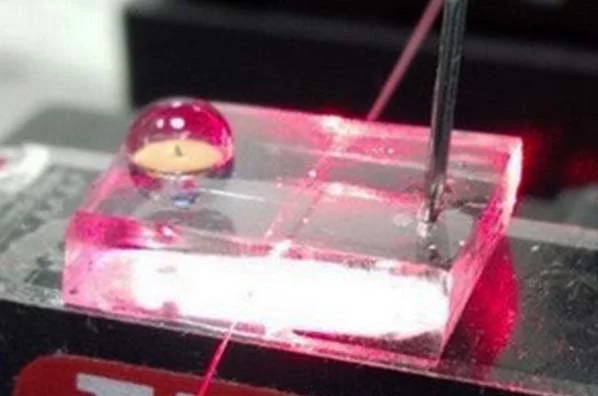 Microneedle Sensor
