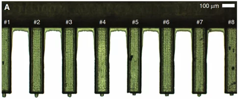 Optical micrograph of a micro-injection