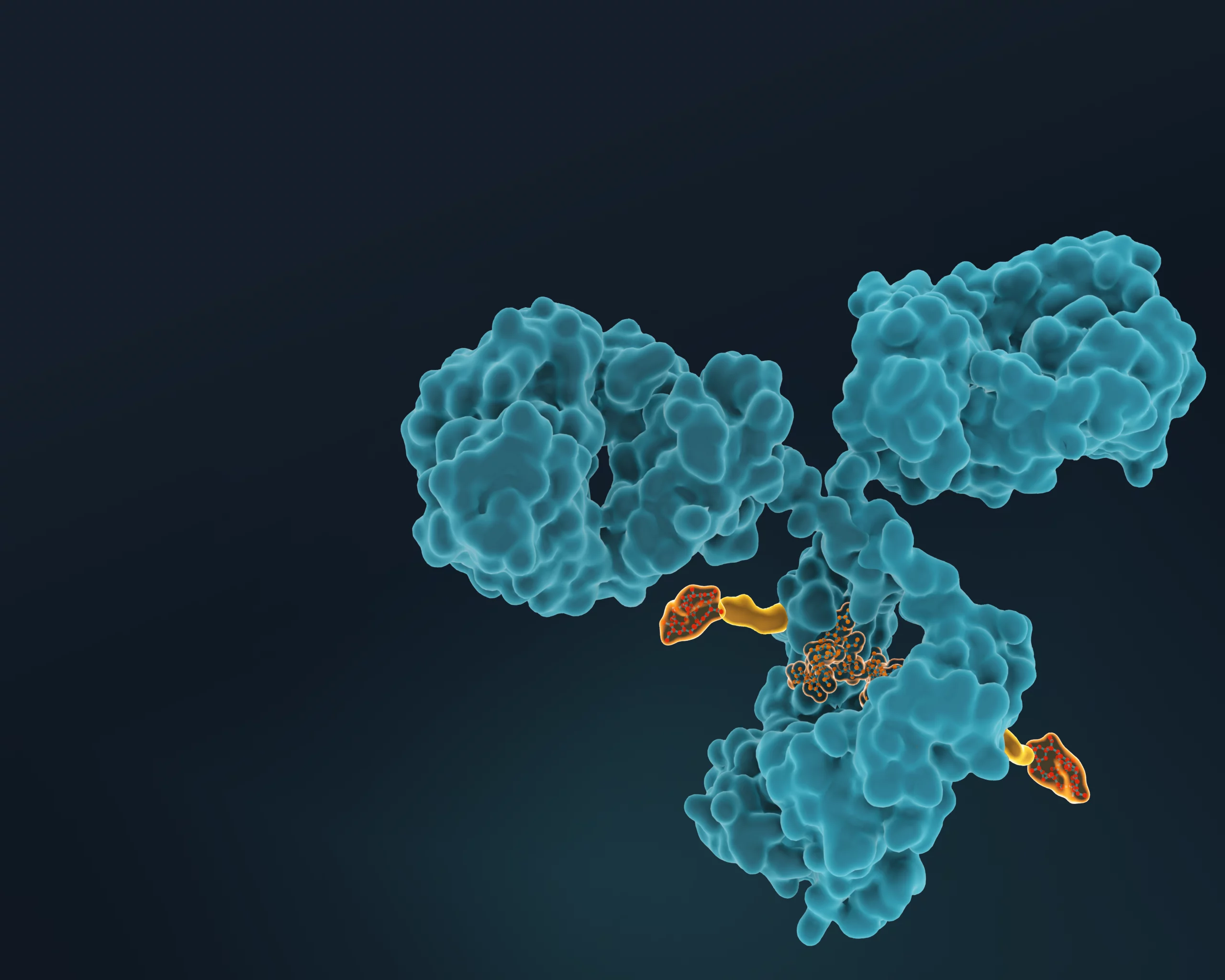 Araris ADC illustration