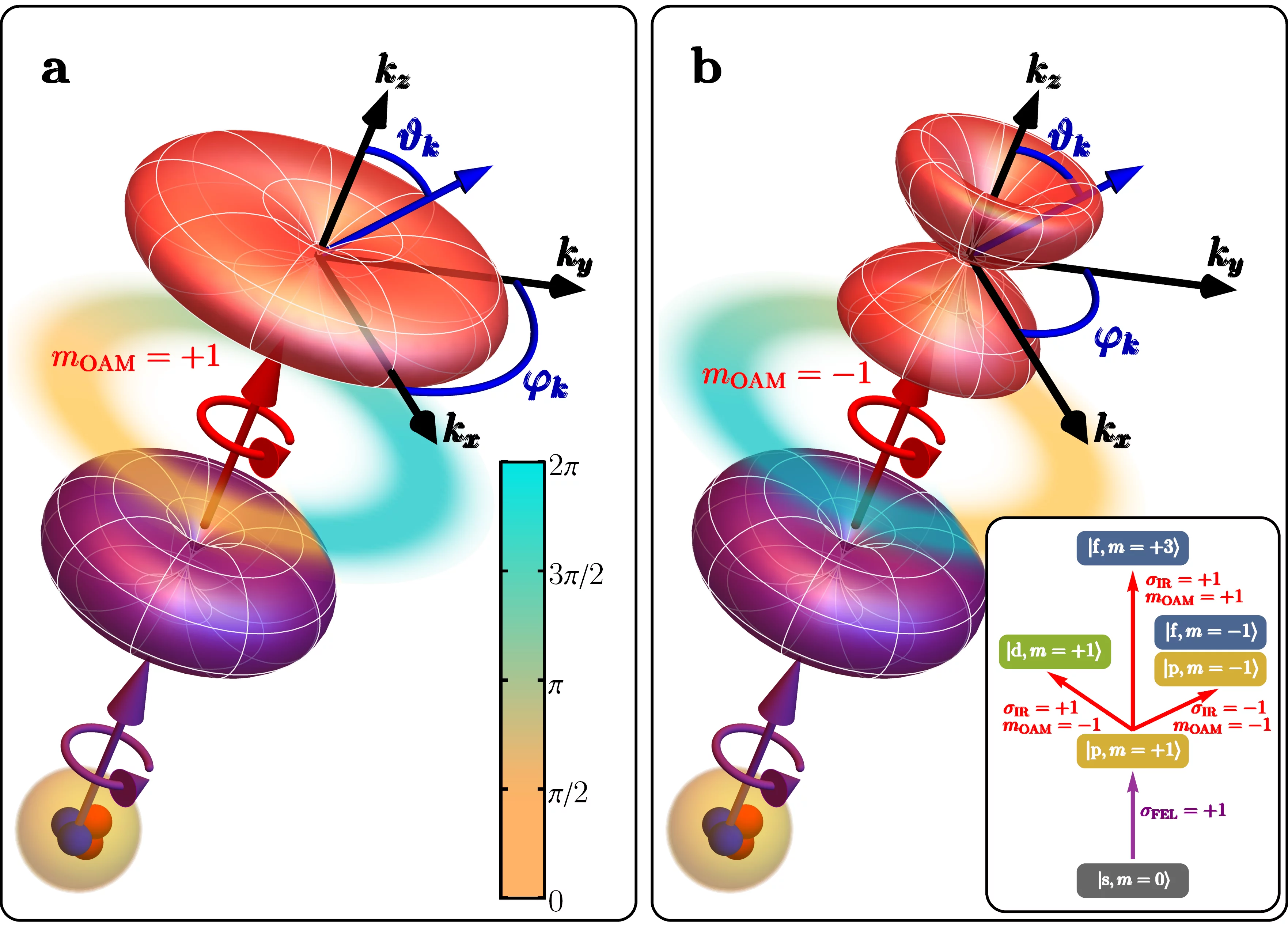 OAM in a Helium atom