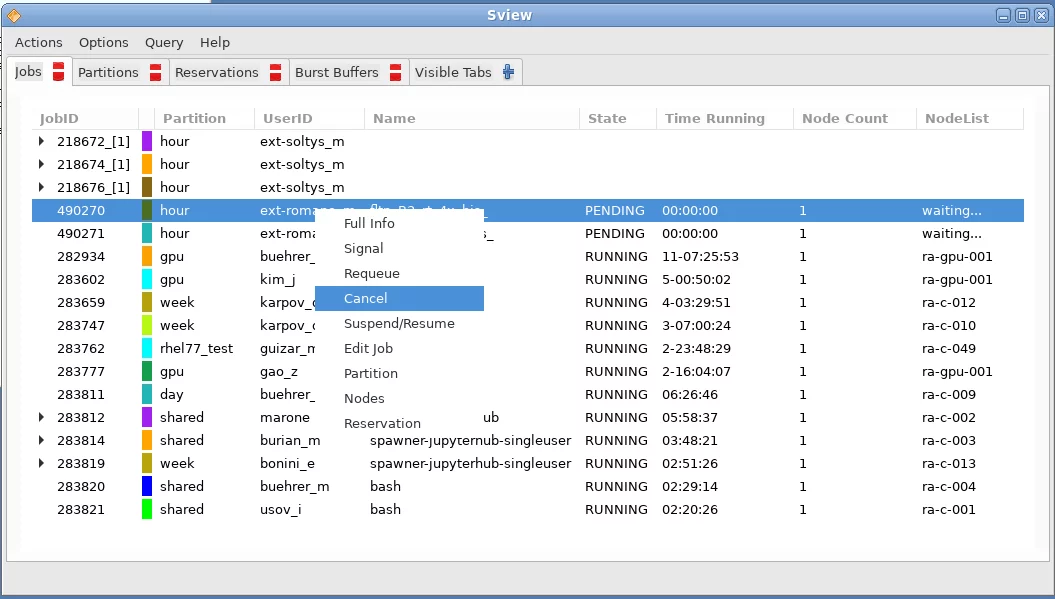 The Sview GUI to display the SLURM cluster queue status on the Ra cluster