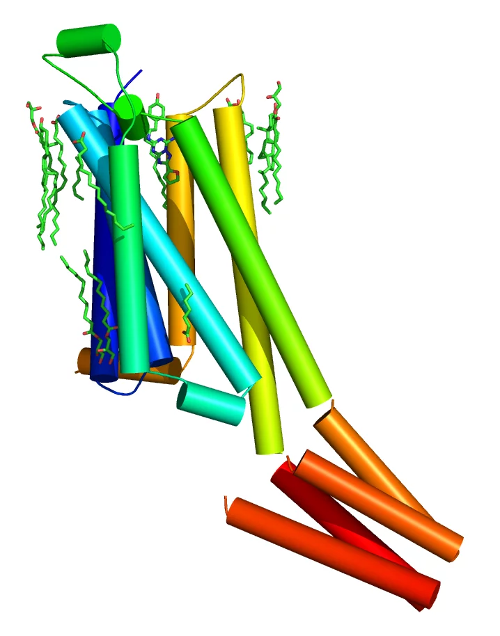 A2A protein