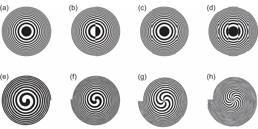 Advanced Fresnel Zone Plates