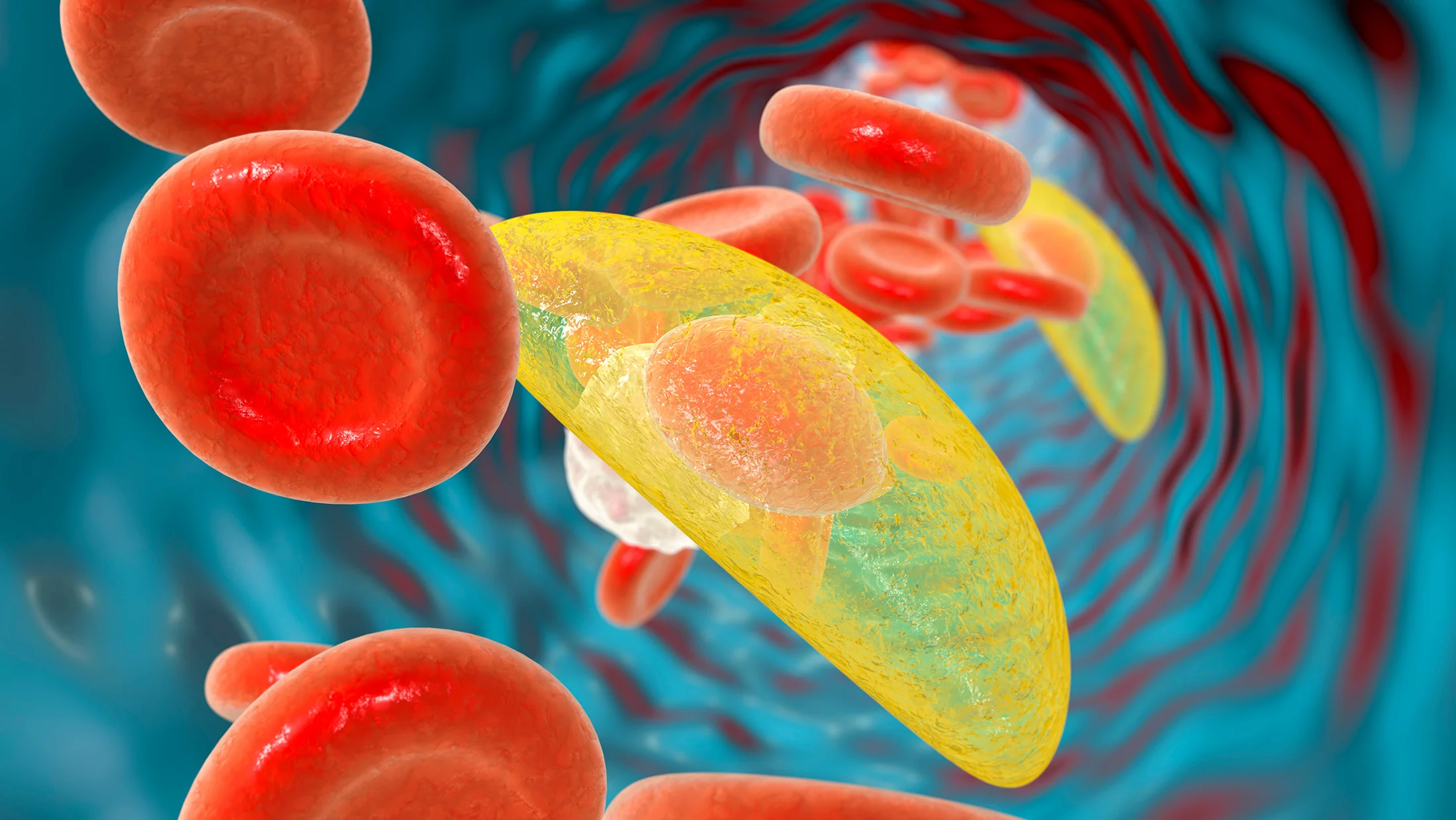 Foto:Shutterstock.com/1051483496