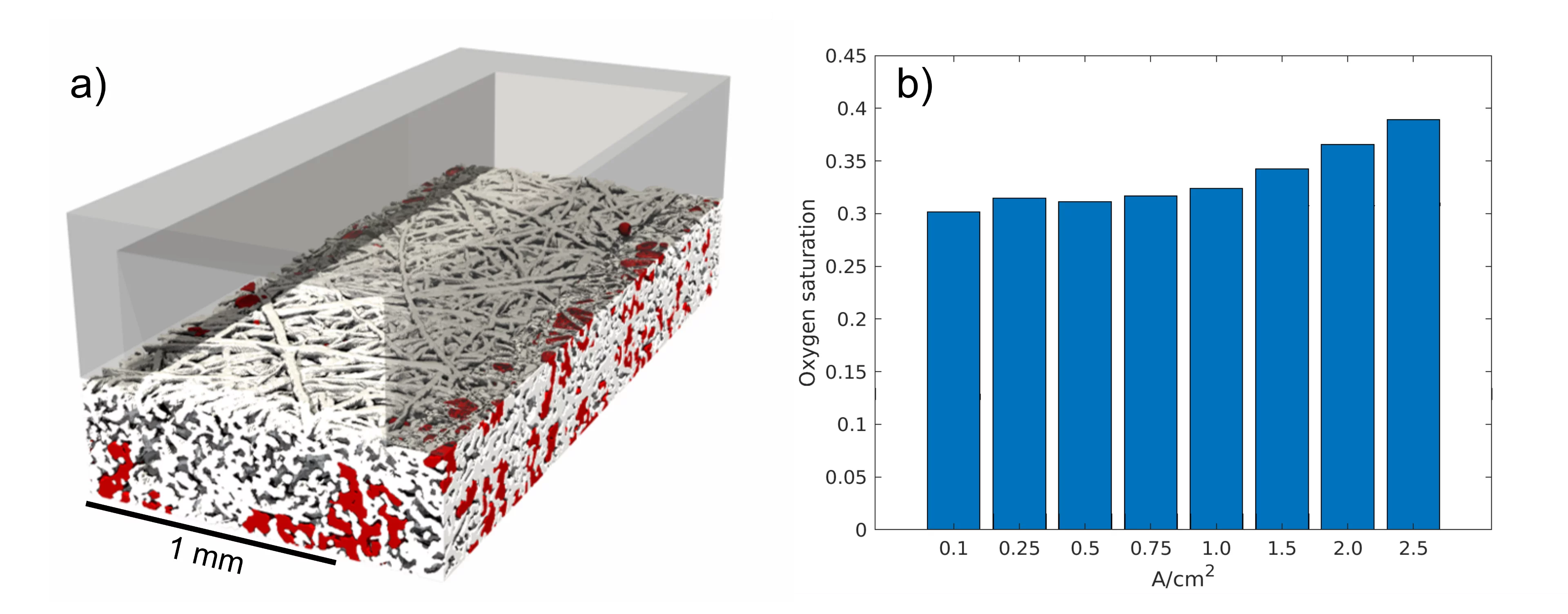 Three-dimensional rendering from the tomographic data acquired while the cell was operating