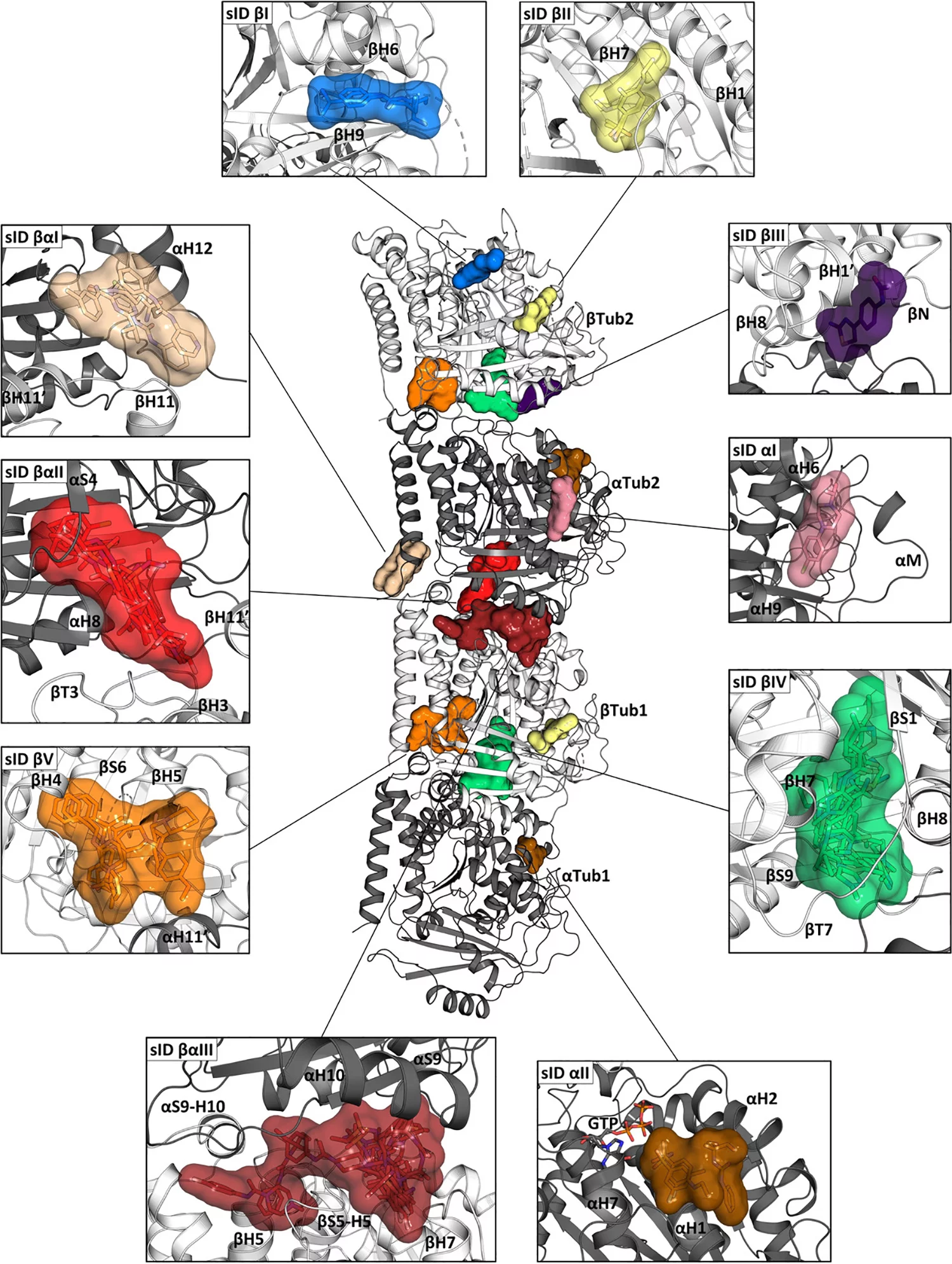 angew_chem_publication_10x13_150dpi.