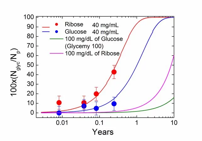 Predicted glycation over time