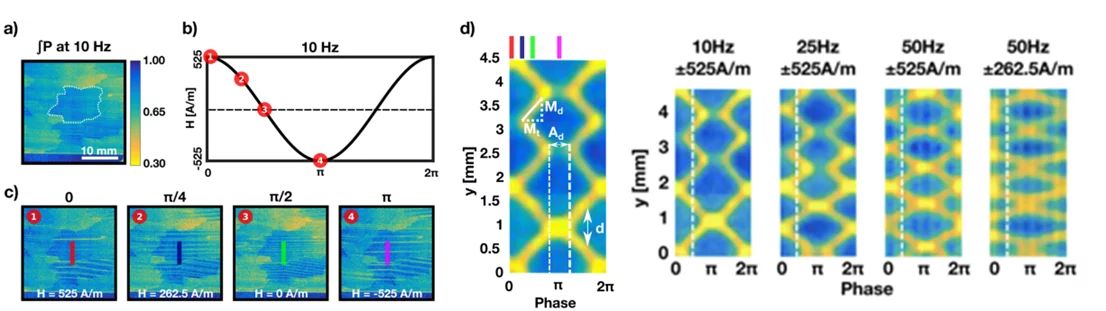 Figure 2. Measurement of magnetic domain dynamics in grain oriented electric steel subjected to alternating external magnetic fields [7]; left: visualisation of domain structure according to the phase of the external field; middle; line profiles with respect to different external field phases indicating the parameters of magnetic field dynamics; right:  same principle of representation for different applied frequencies and field values.