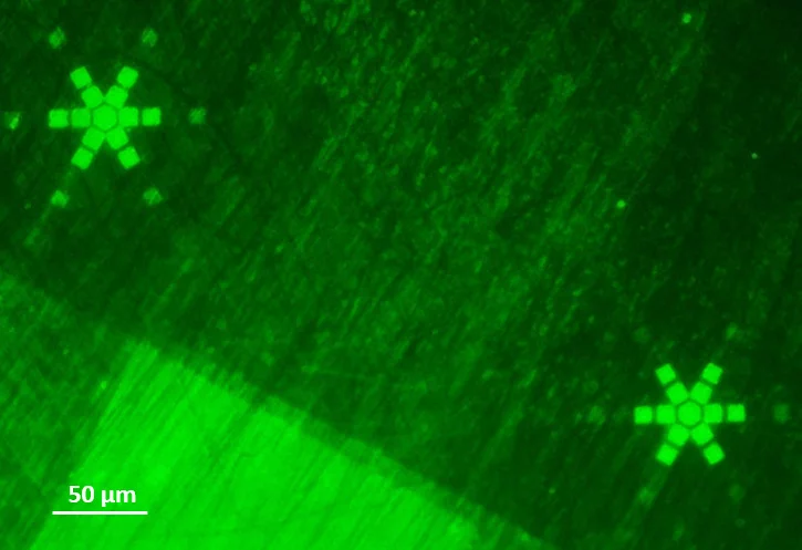 Fluorescent-labeled biofunctionalized polymer brush structure