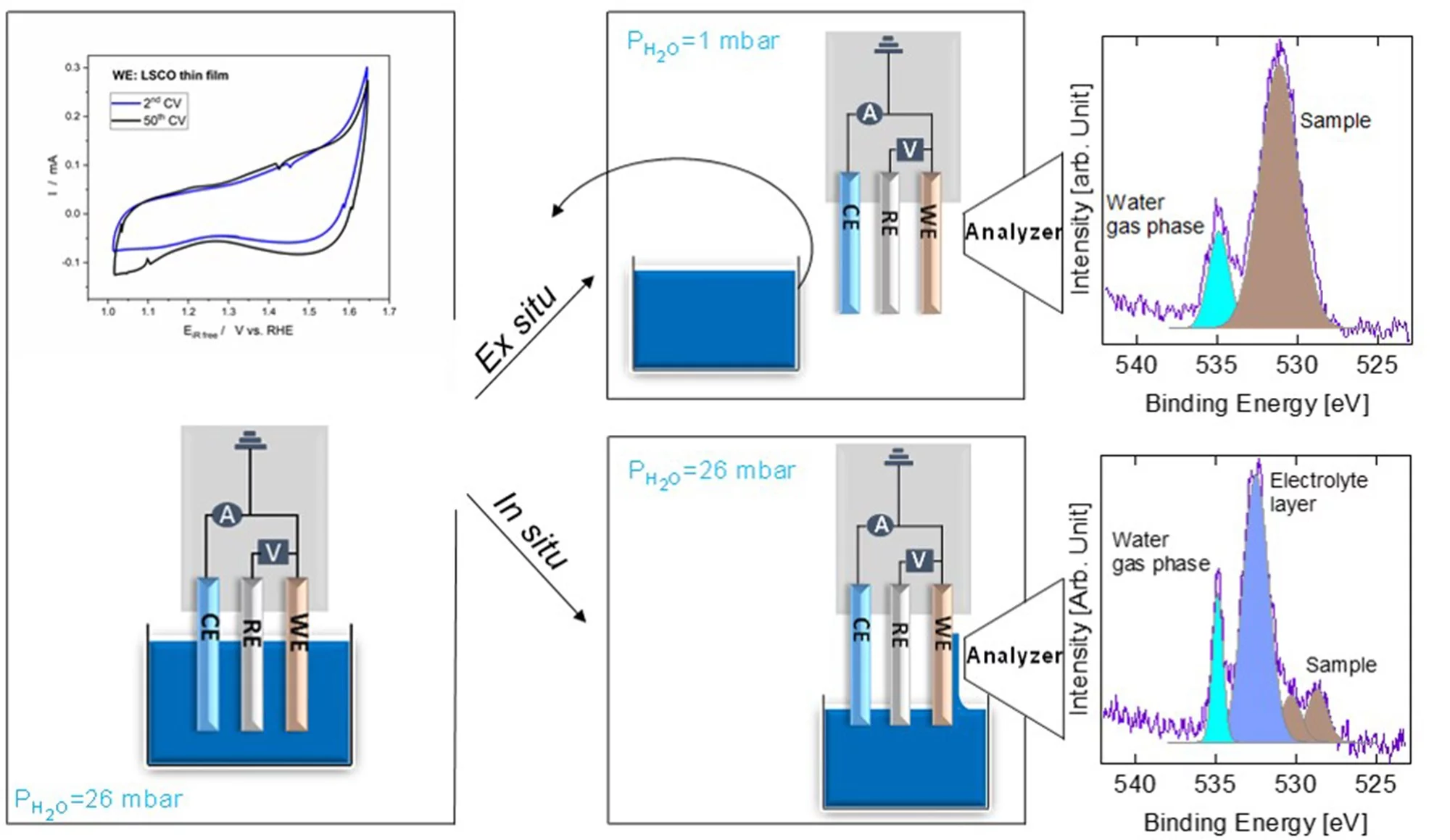 Direct evidence of in situ Co-oxyhydroxide formation 