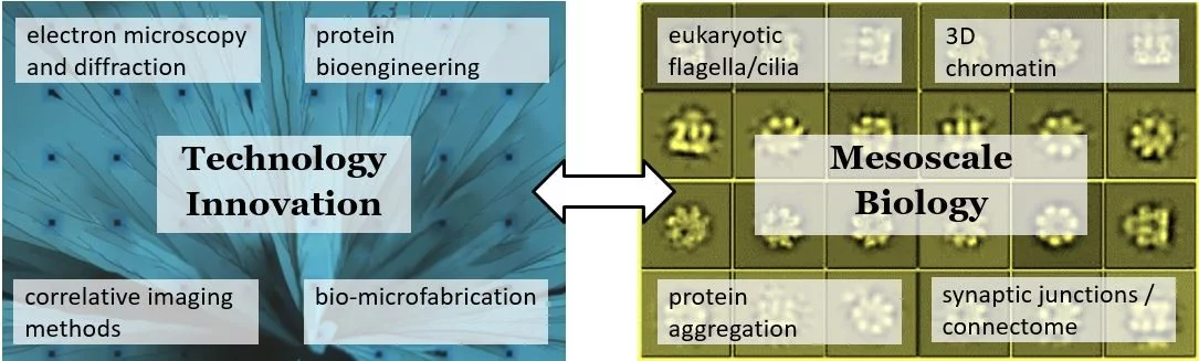 LNB science technology innovation