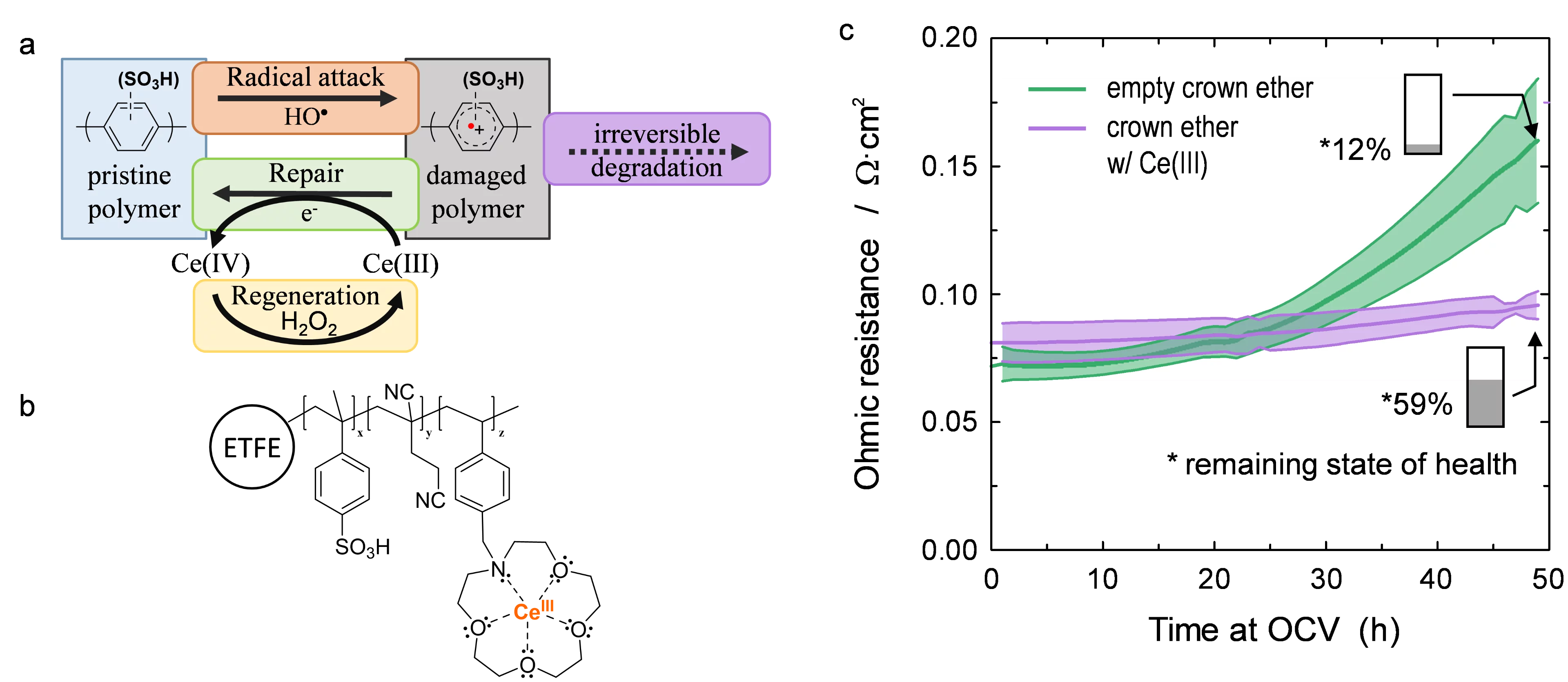 Catalytic_damage_repair_cycle