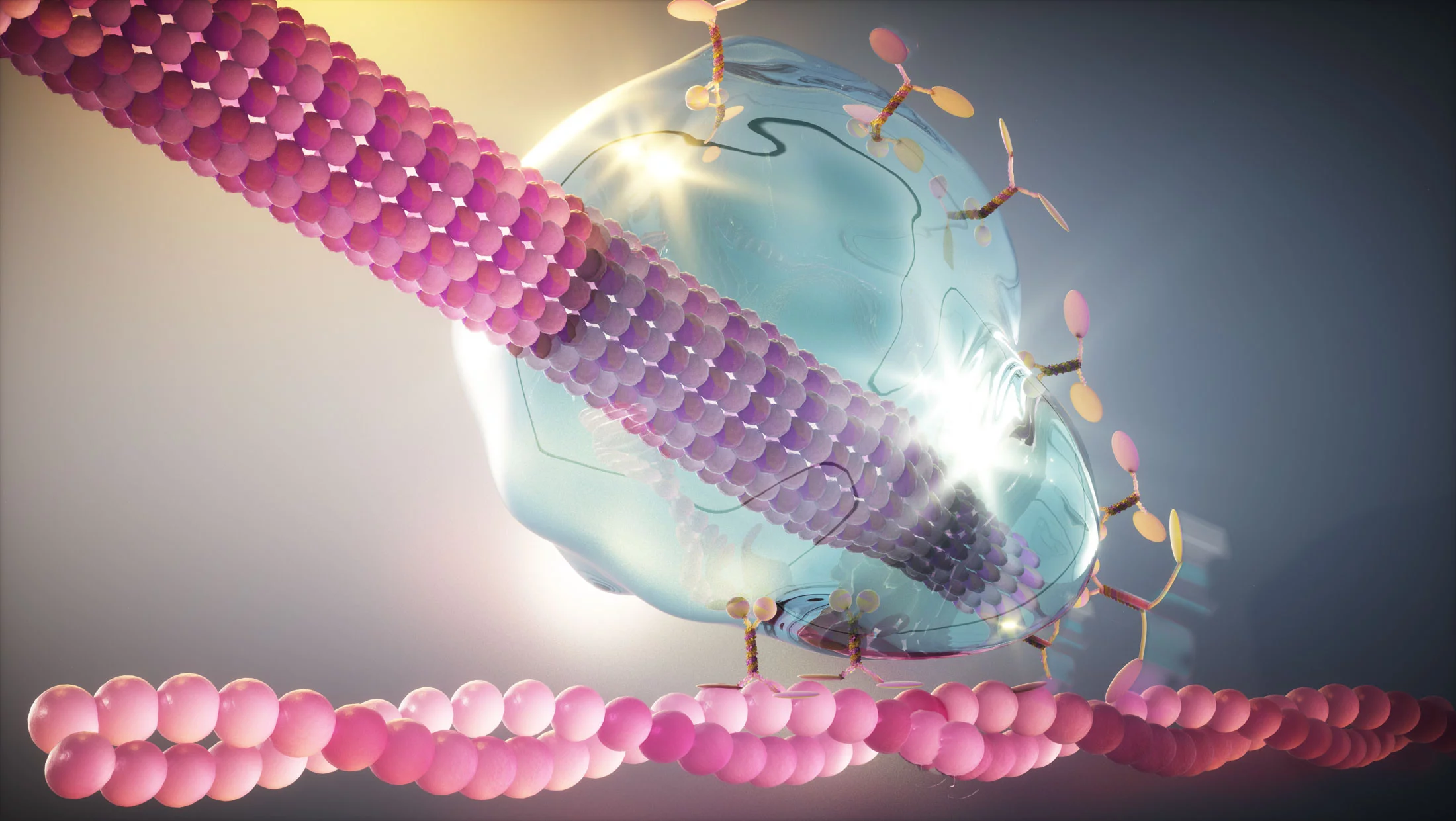 This liquid droplet is actually made from protein molecules. 