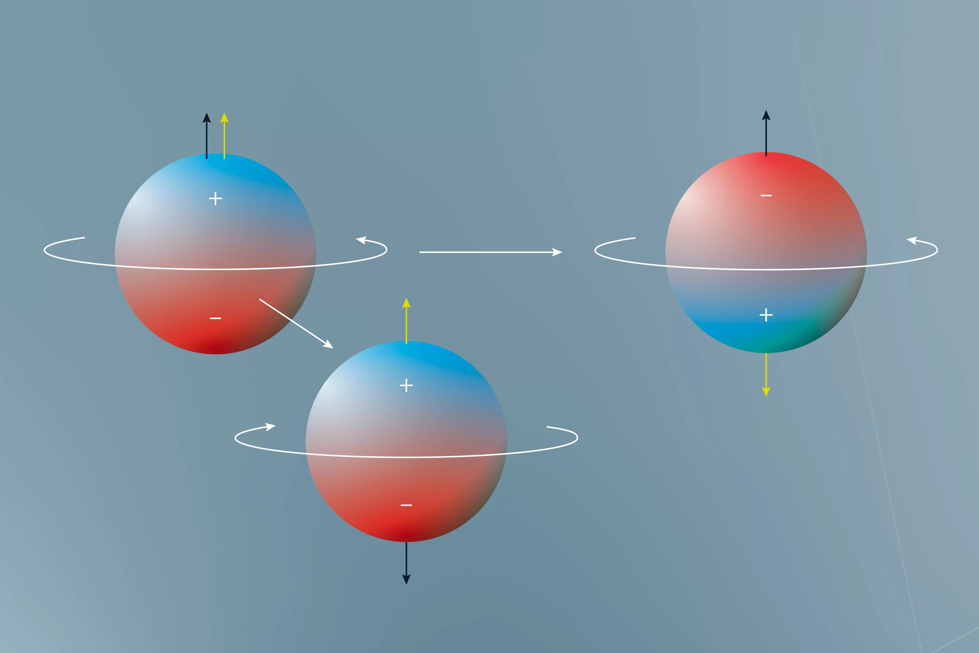 Das elektrische Dipolmoment des Neutrons