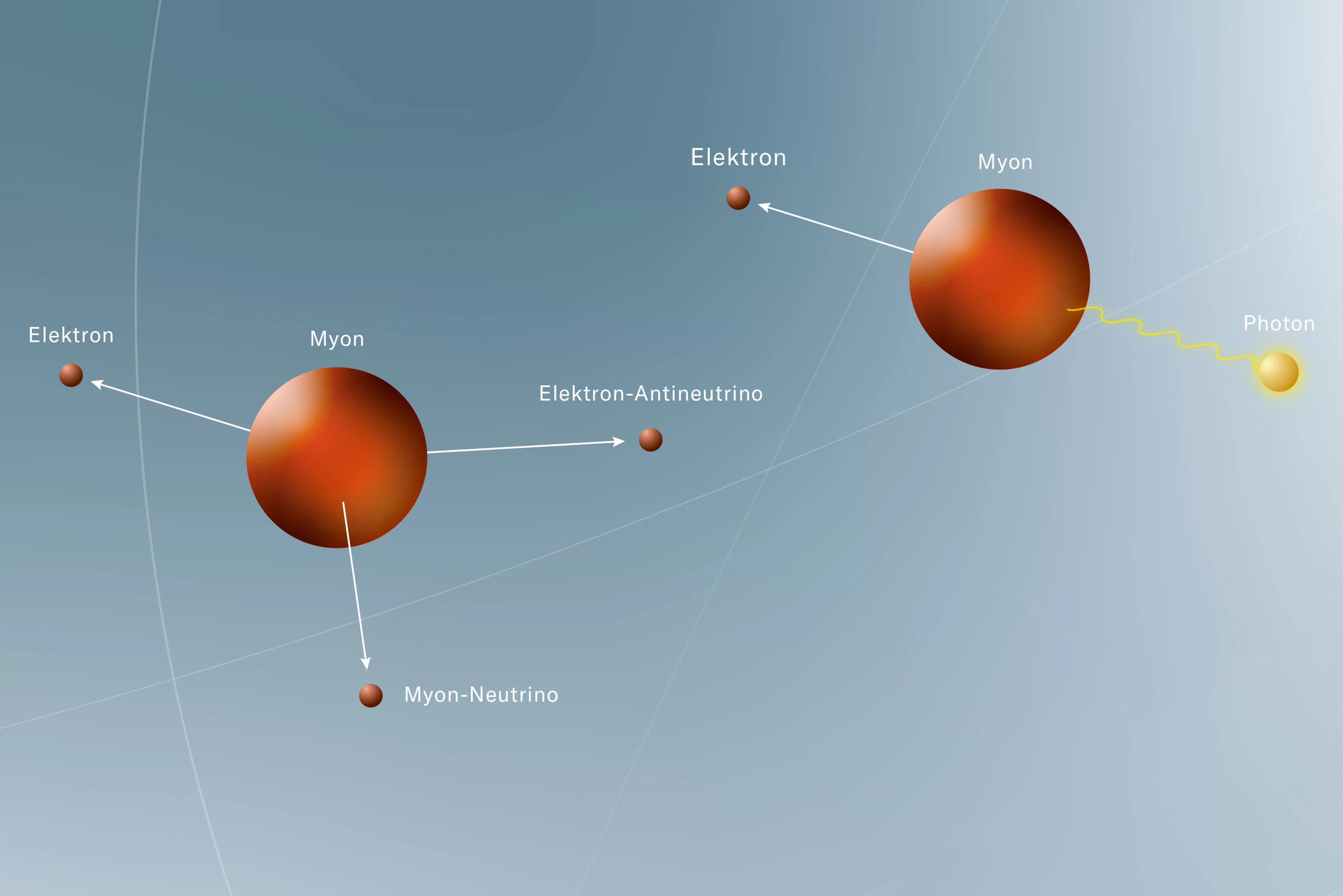 The decay of the muon This is nothing peculiar in physics