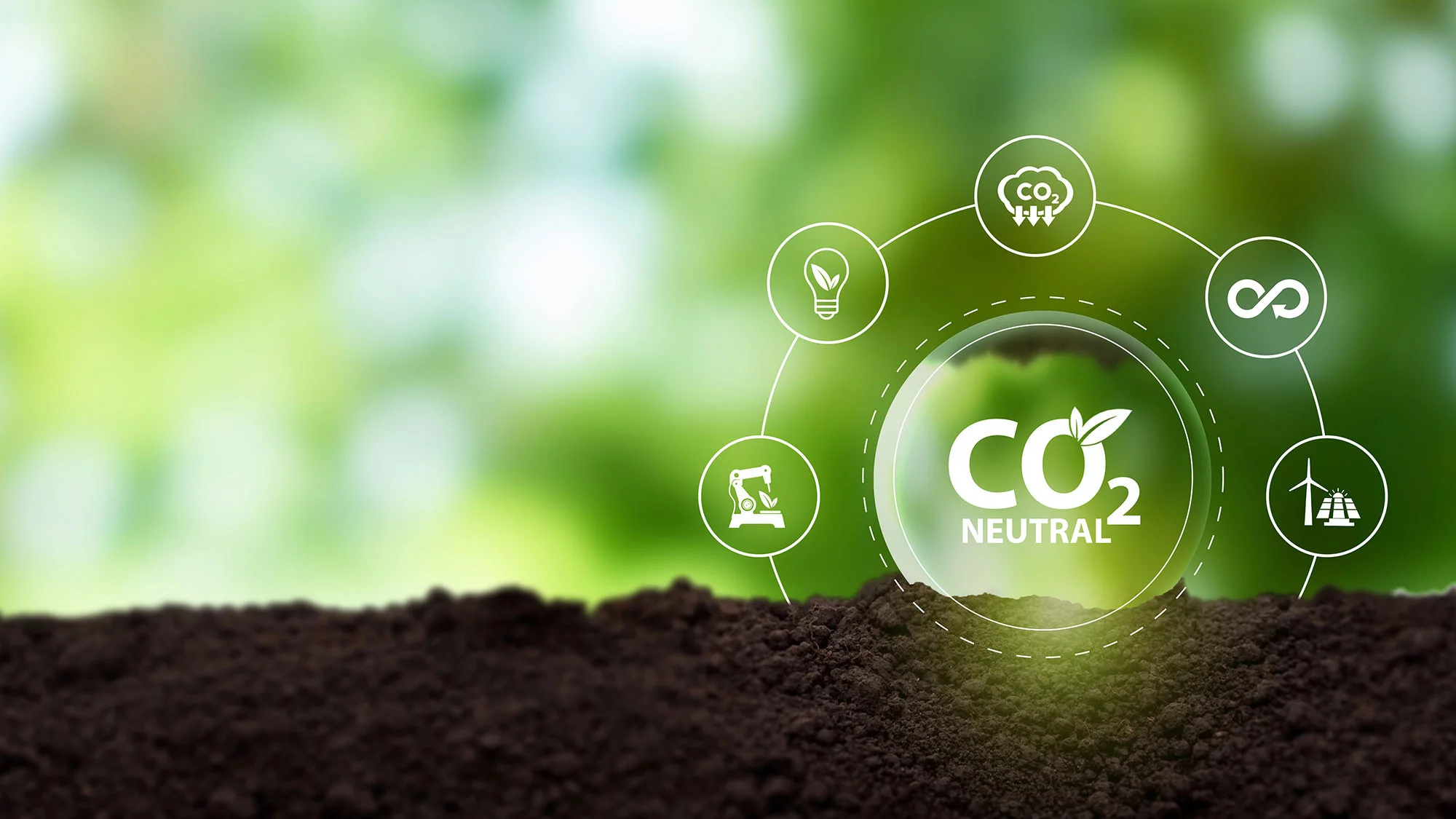 adobestock_524646263