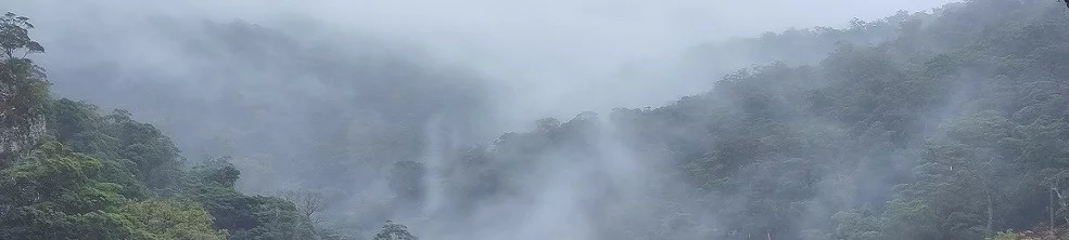 Atmosphere-Biosphere Interactions