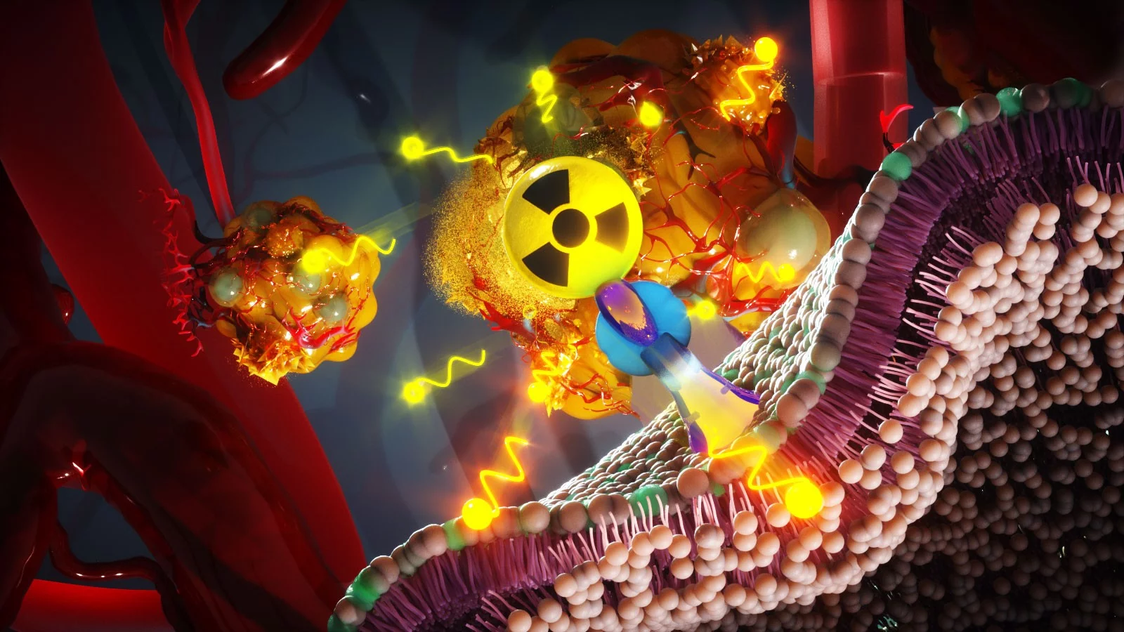 The radiopharmaceutical consists of a radioactive molecule – in this case terbium-161 linked to a ligand. 