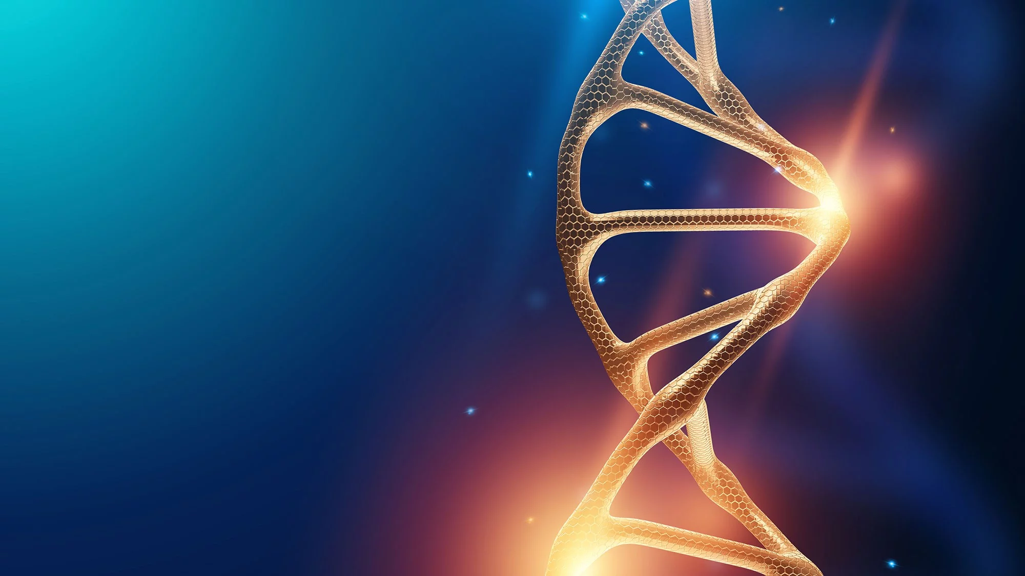 Erbschäden mit Sonnenlicht reparieren  