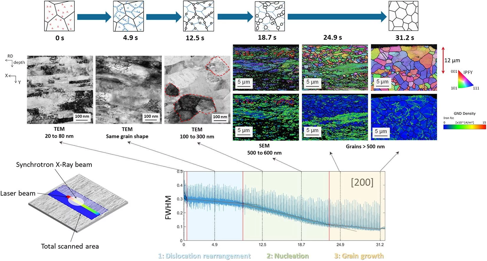 Recrystallization 316L