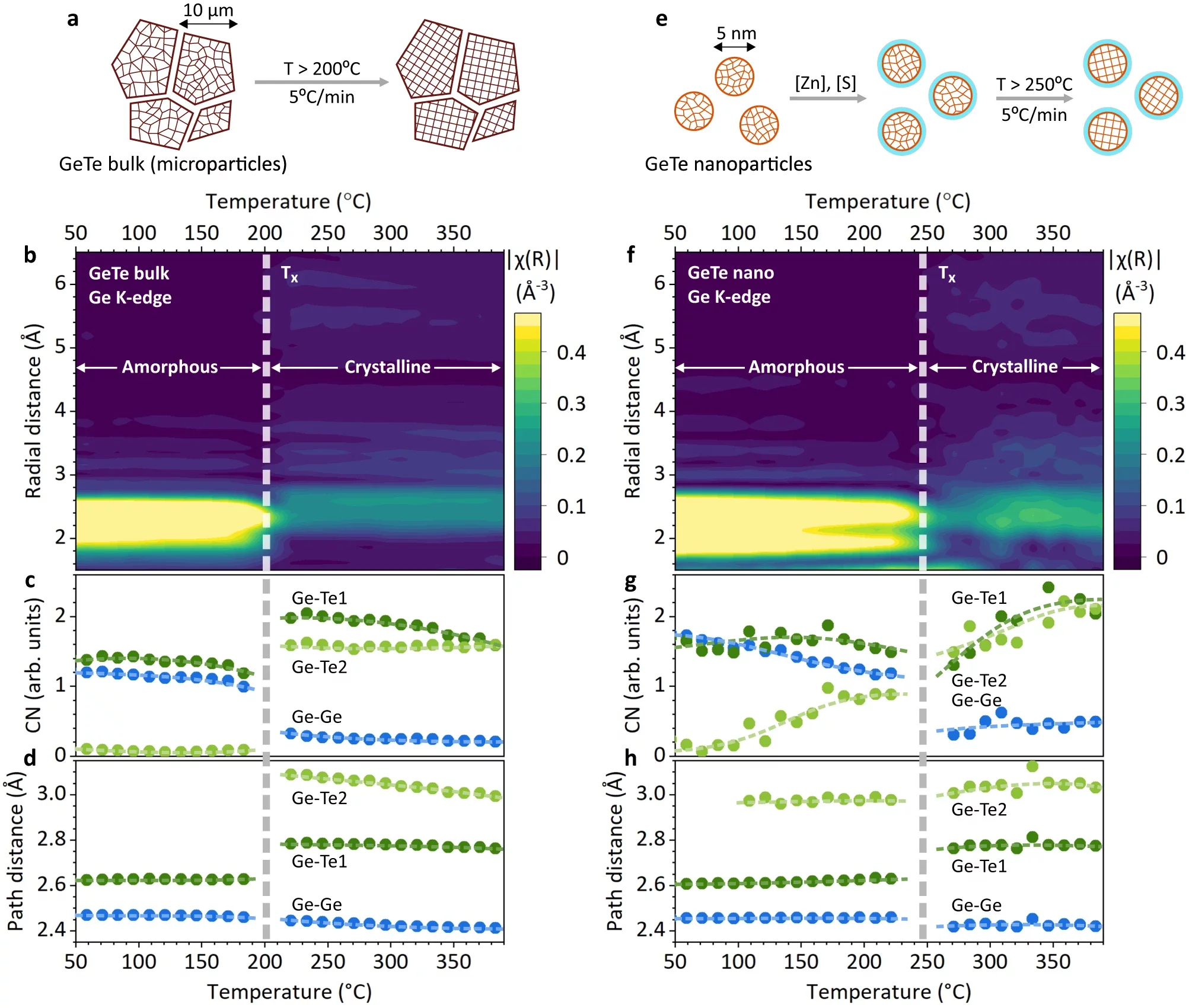 Yarema_HIghlight_NatureCom