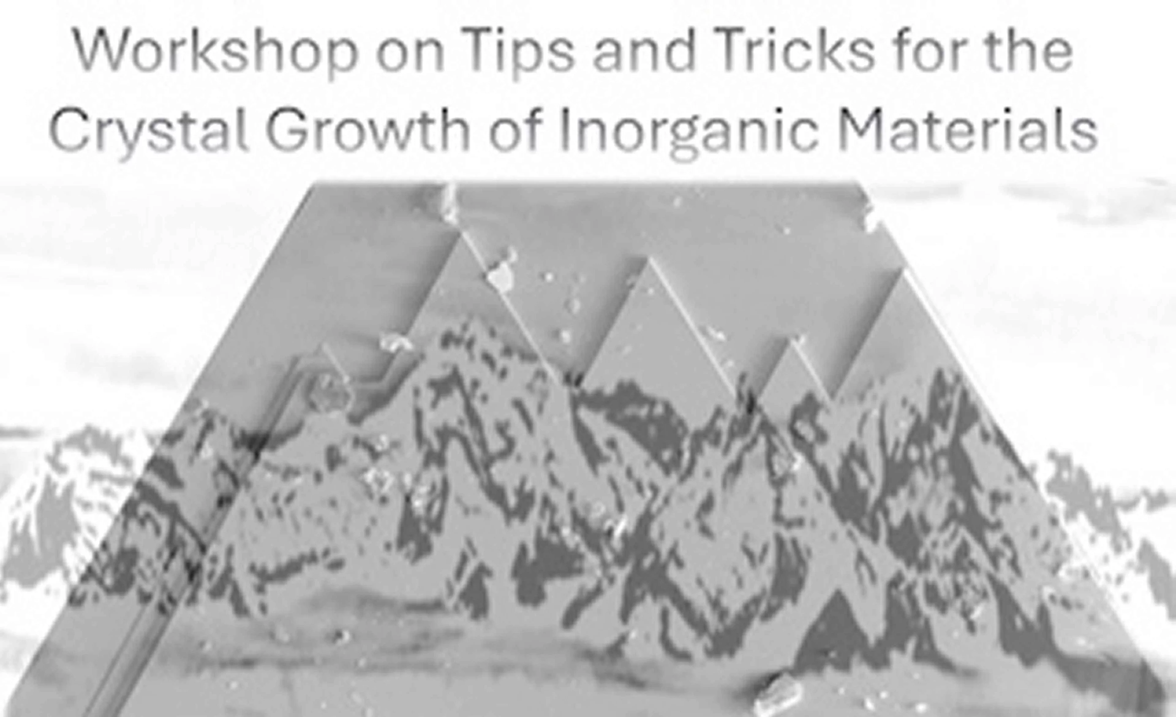 Workshop crystal growth 2024