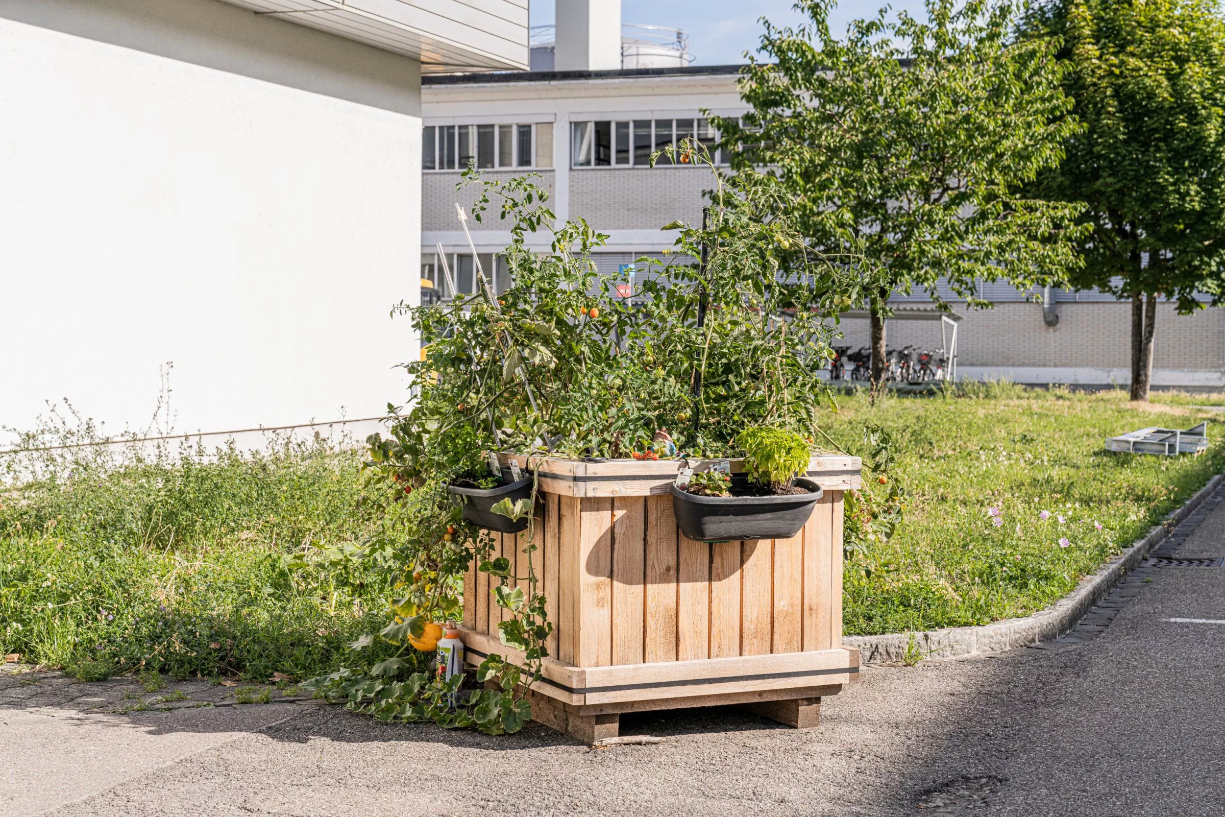 Greenbox
