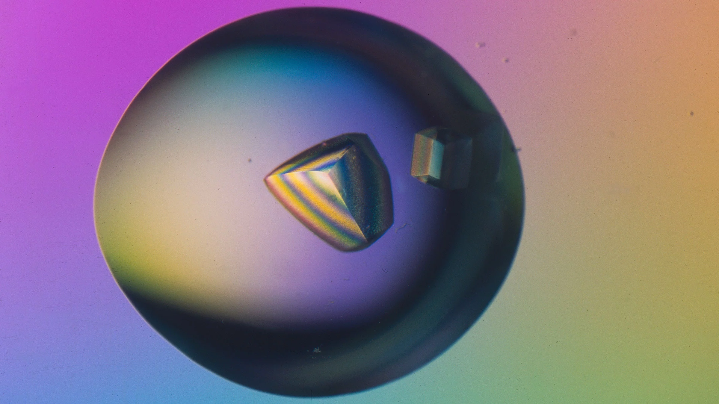 Kristall eines DNS-Reparatur-Enzyms.