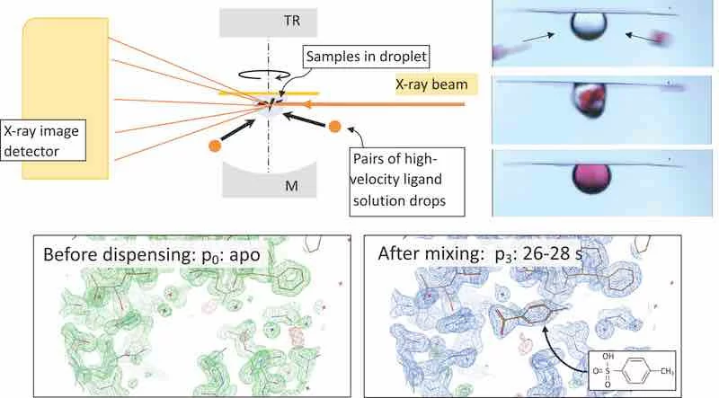 Inertial mixing of acoustically levitated droplets for time-lapse protein crystallography