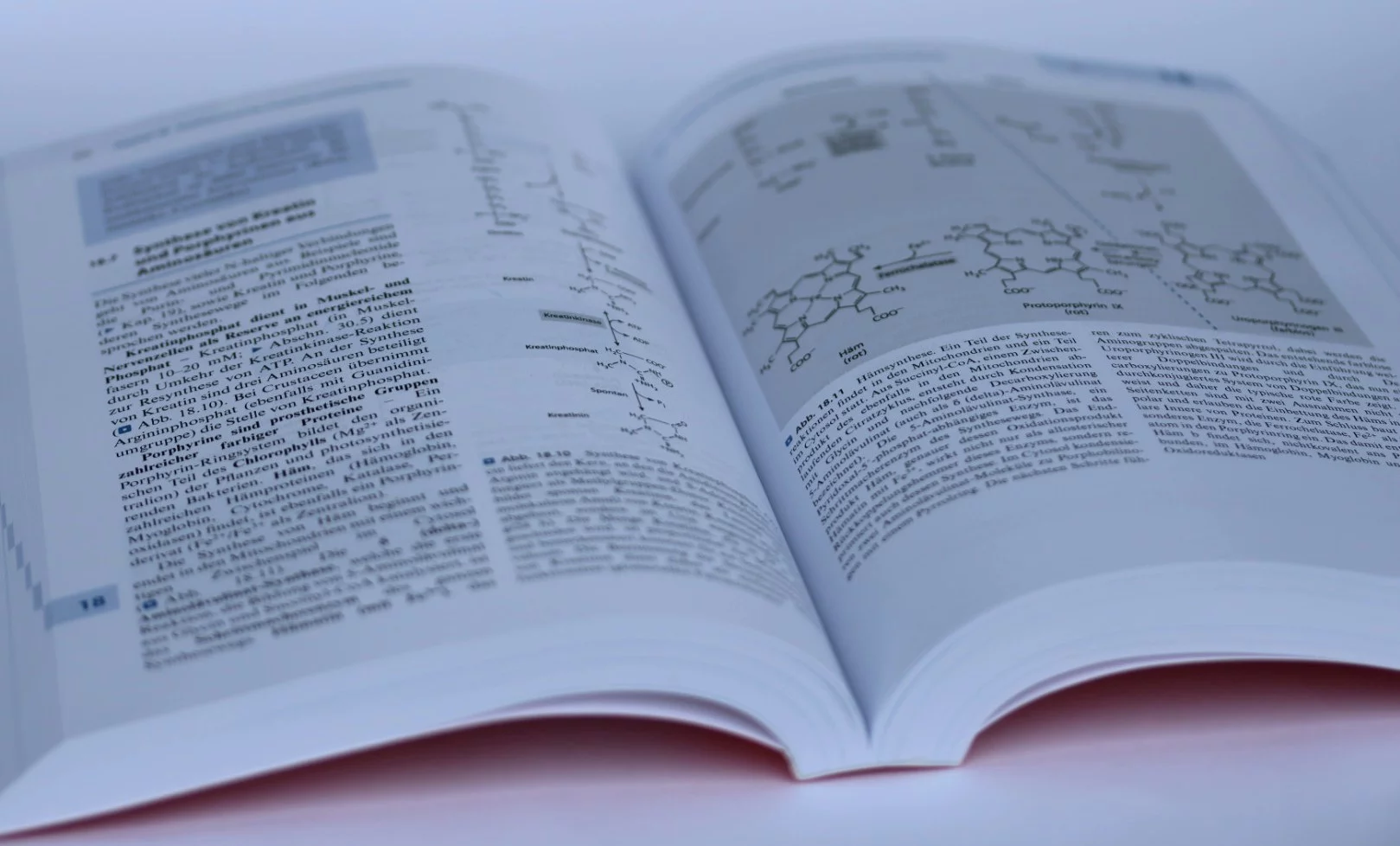 Biochemie und Molekularbiologie