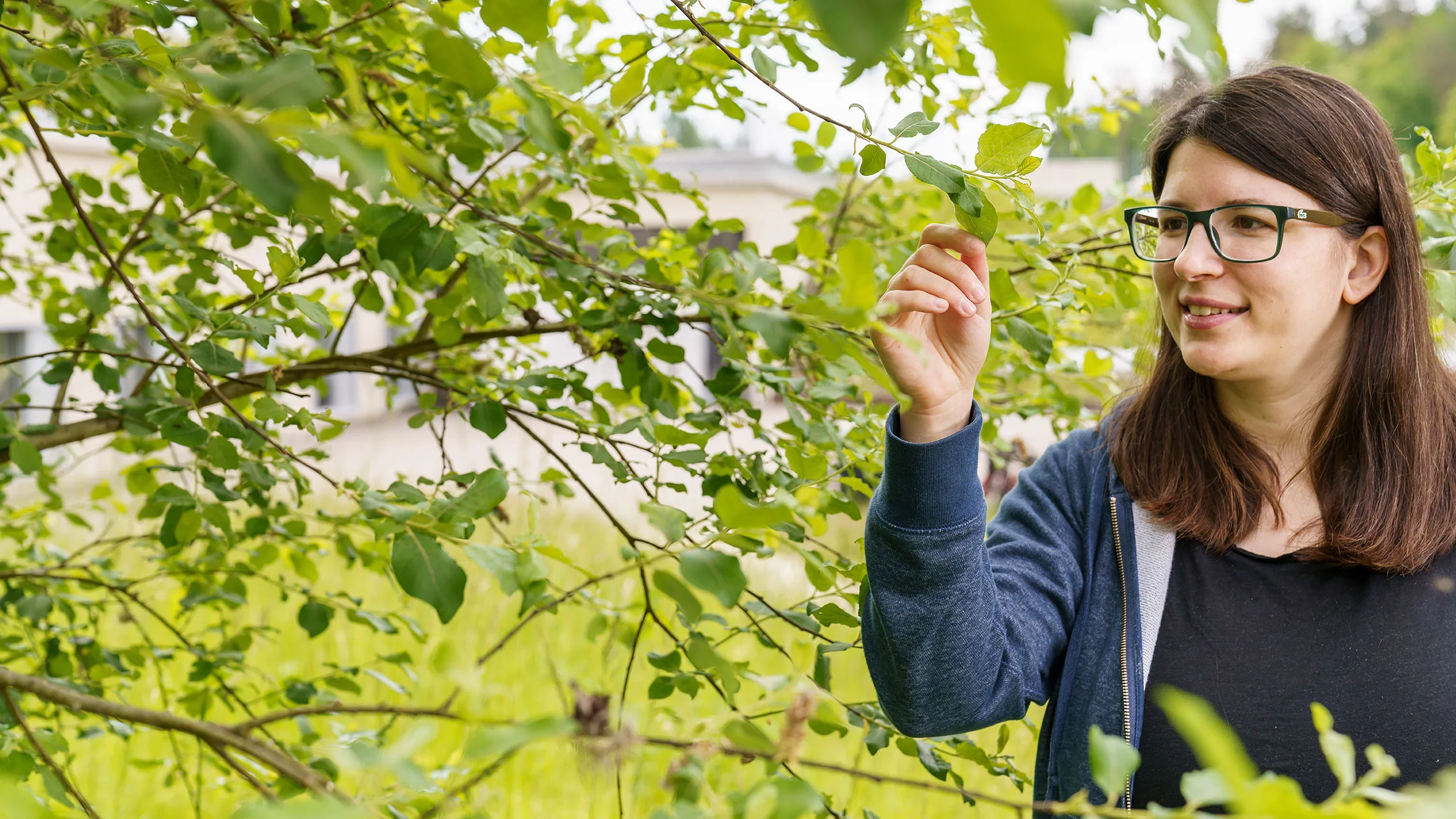 Plants, insects and many other animals possess the enzyme photolyase, which repairs DNA damaged by sunlight. At the Alvra experimental station, light from the SwissFEL allows such processes to be followed in action at a molecular level. Camila Bacellar, pictured here, is a beamline scientist and group leader of Alvra.