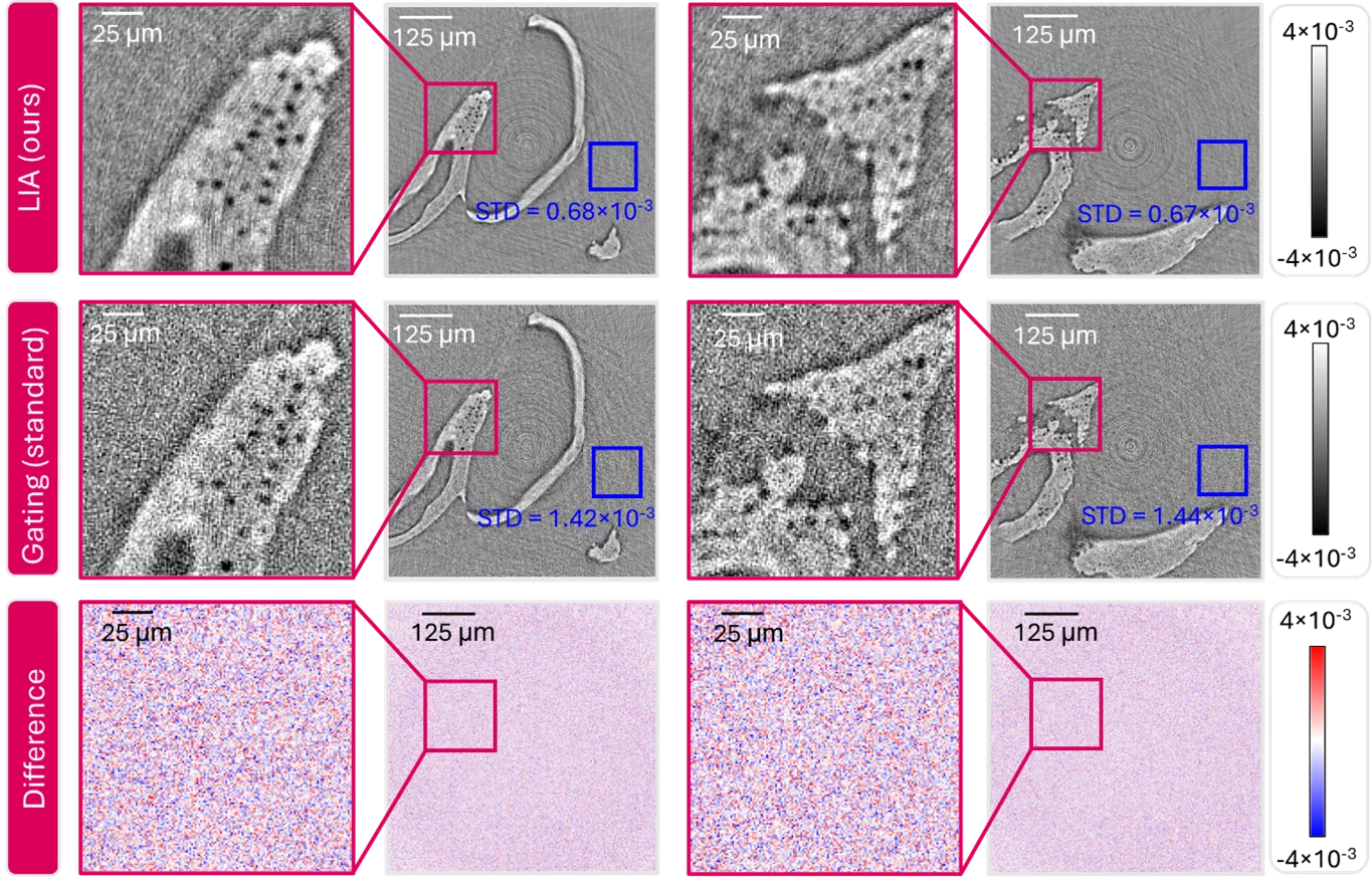 4D CT 2024