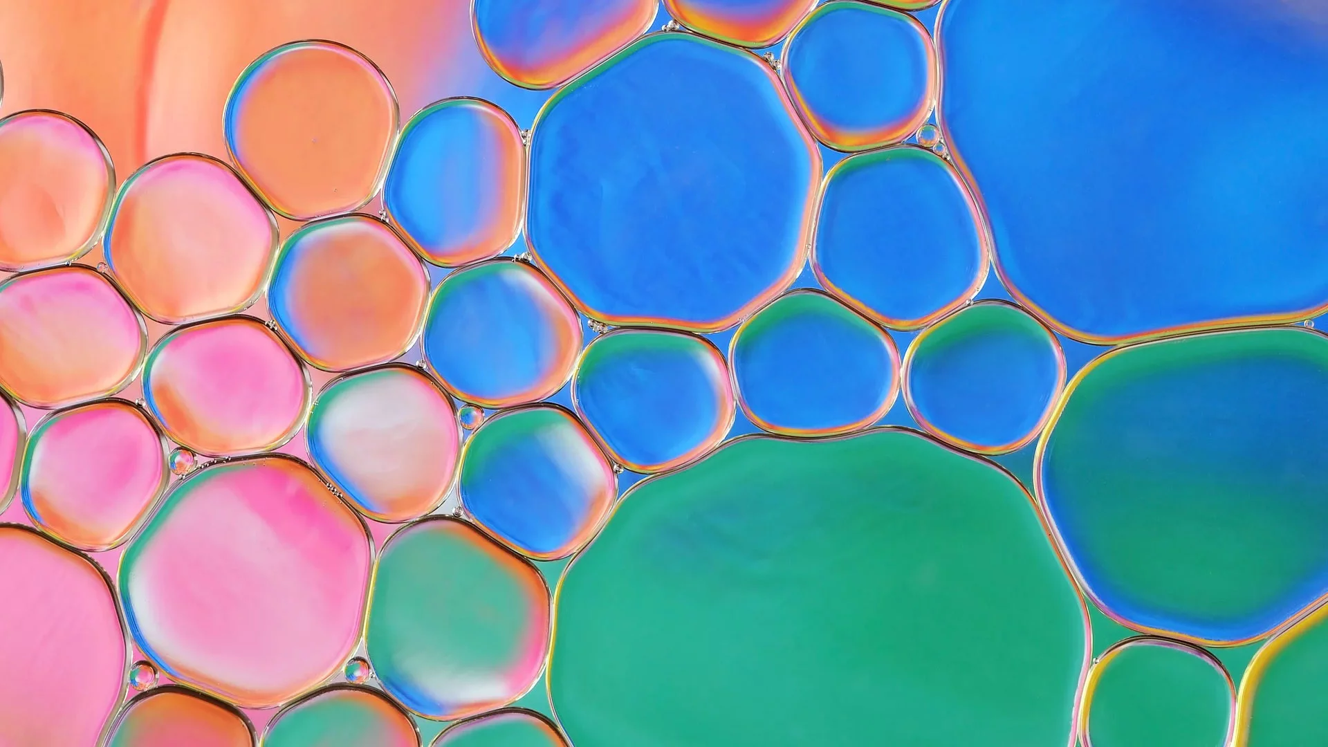 Within the cell, some proteins can condense into droplets: a concept known as liquid-liquid phase separation. While this enables important cellular functions, there has been speculation that it can also be a precursor to pathological protein aggregation. © Adobe Stock