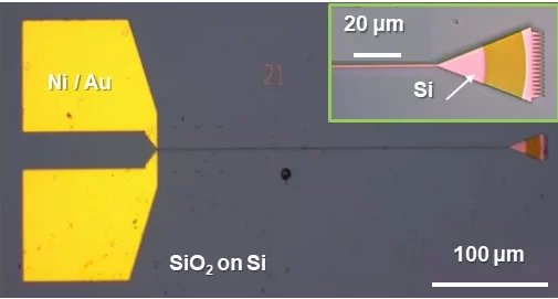 detector coupled