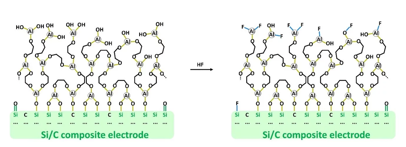 LEC November 2024 Highlight