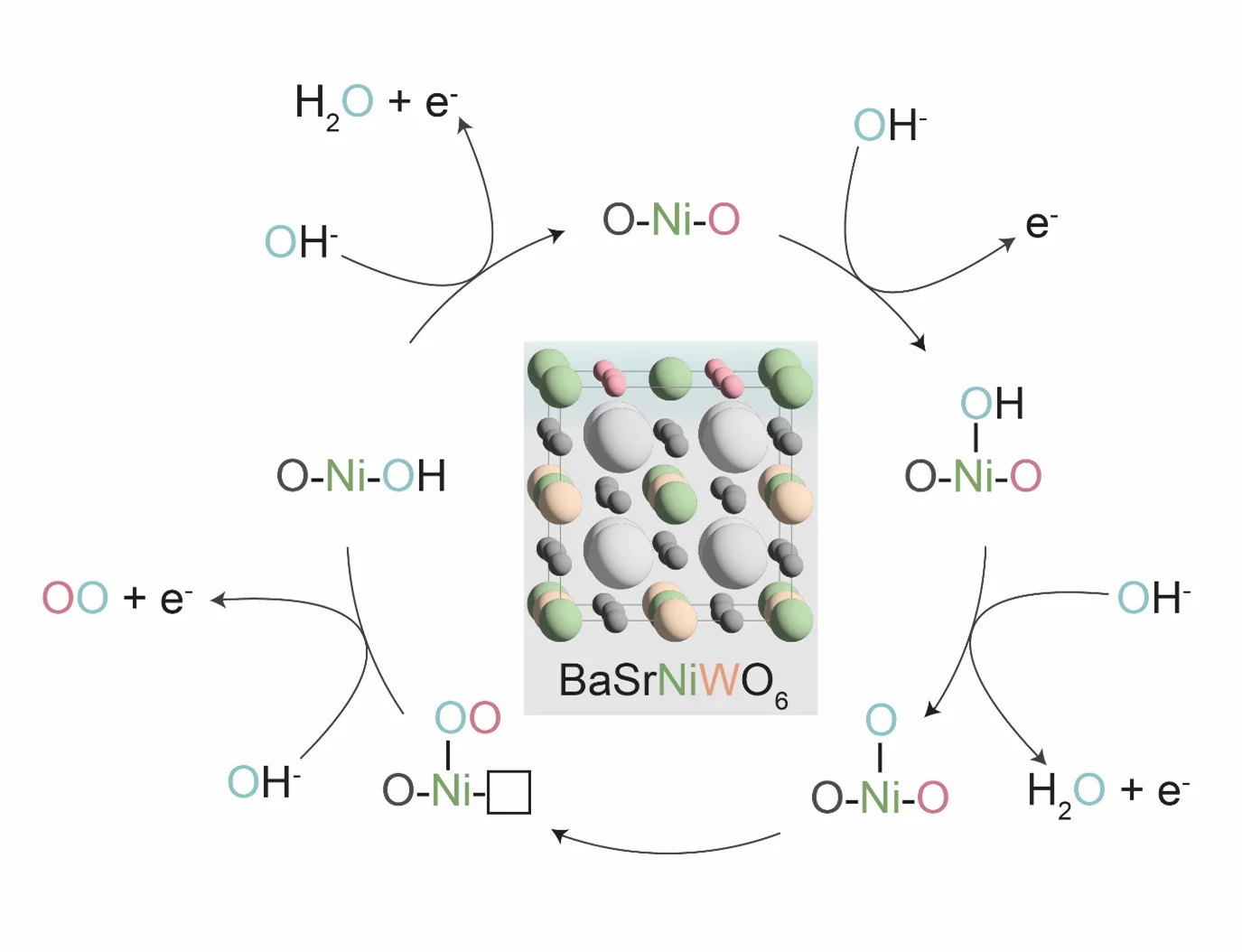 lec_highlight_february_2025