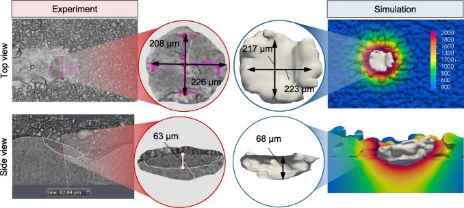 Comparison melt pool