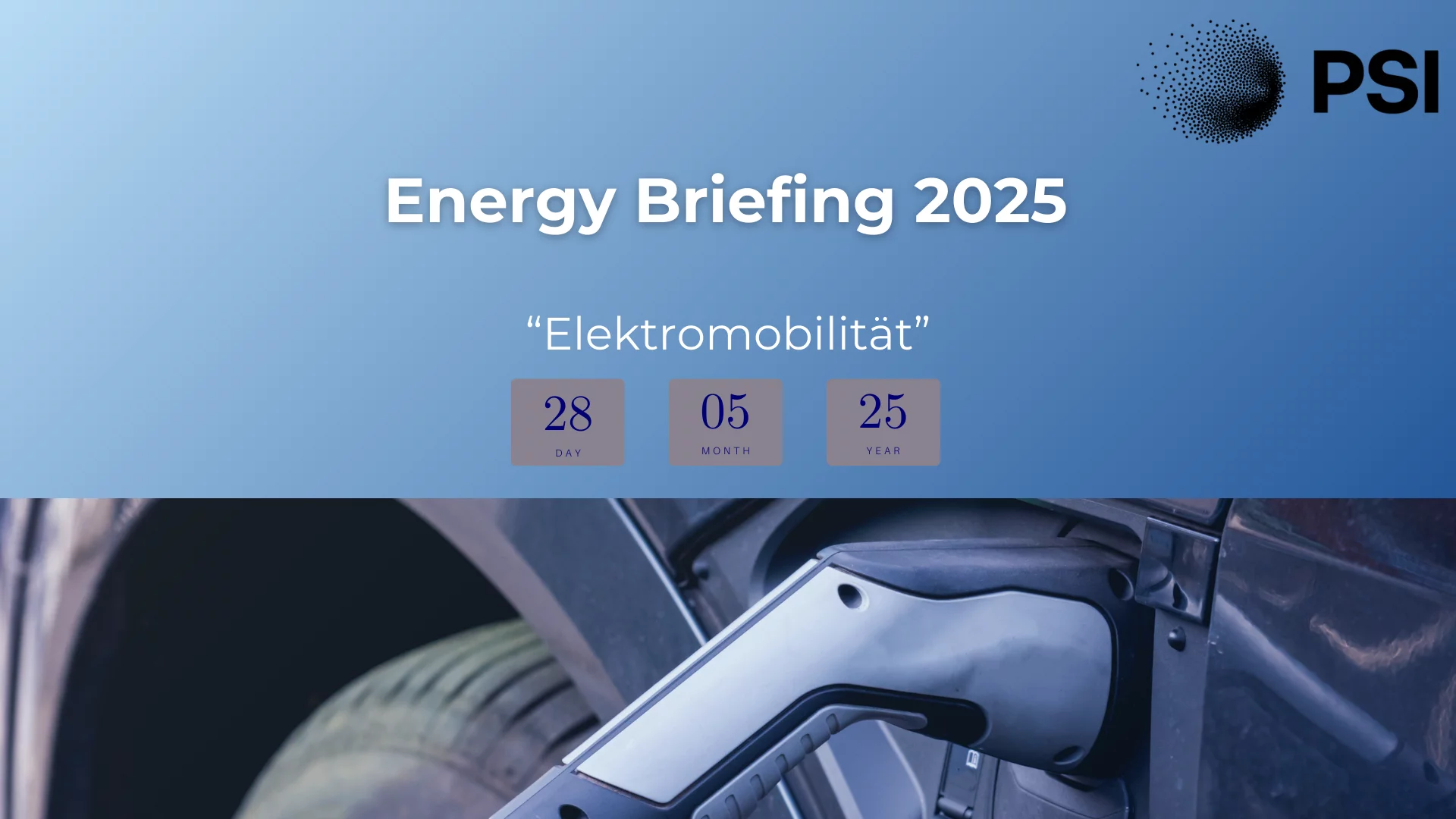 Energy Briefing 2025