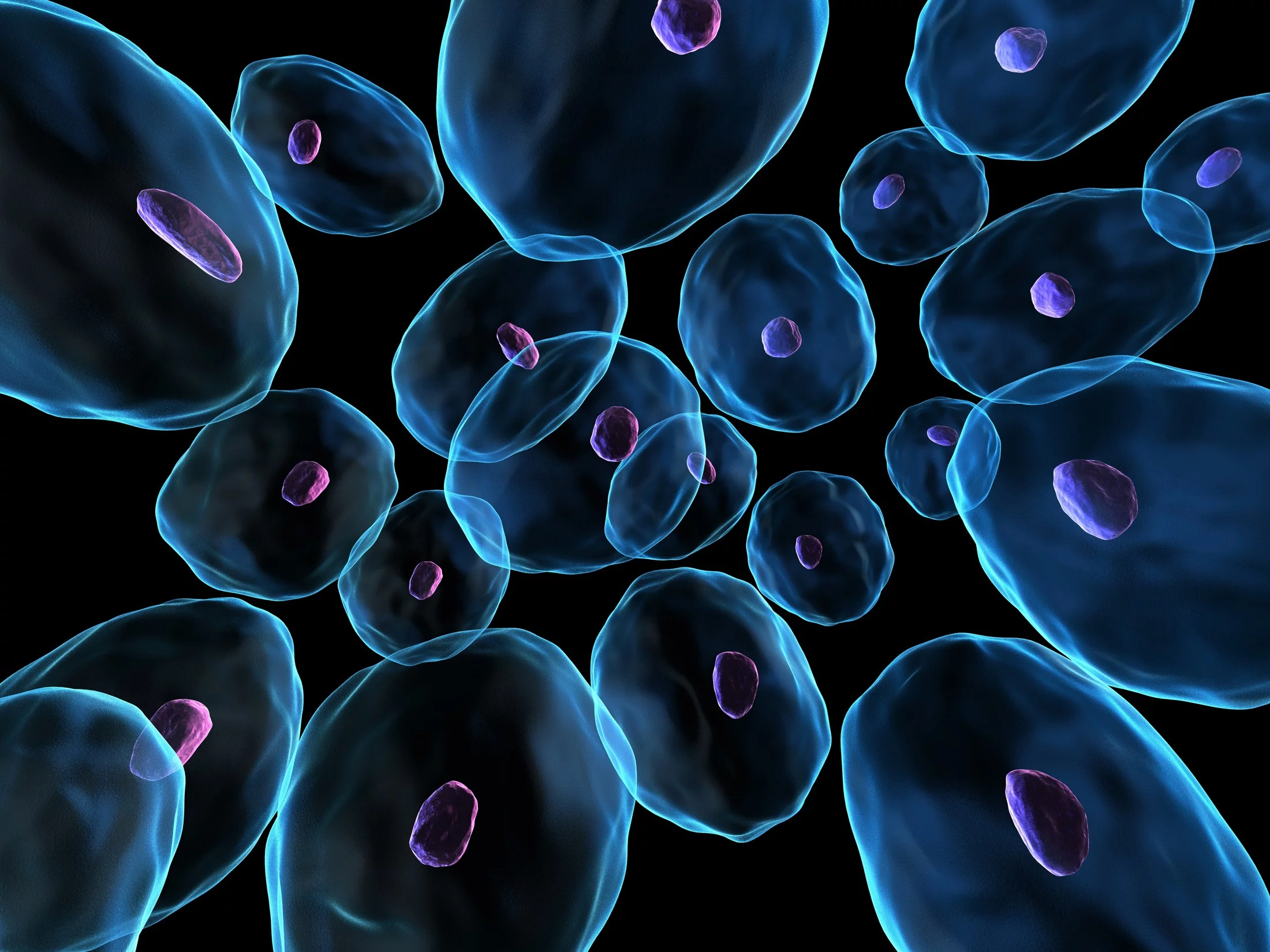 Chromatin