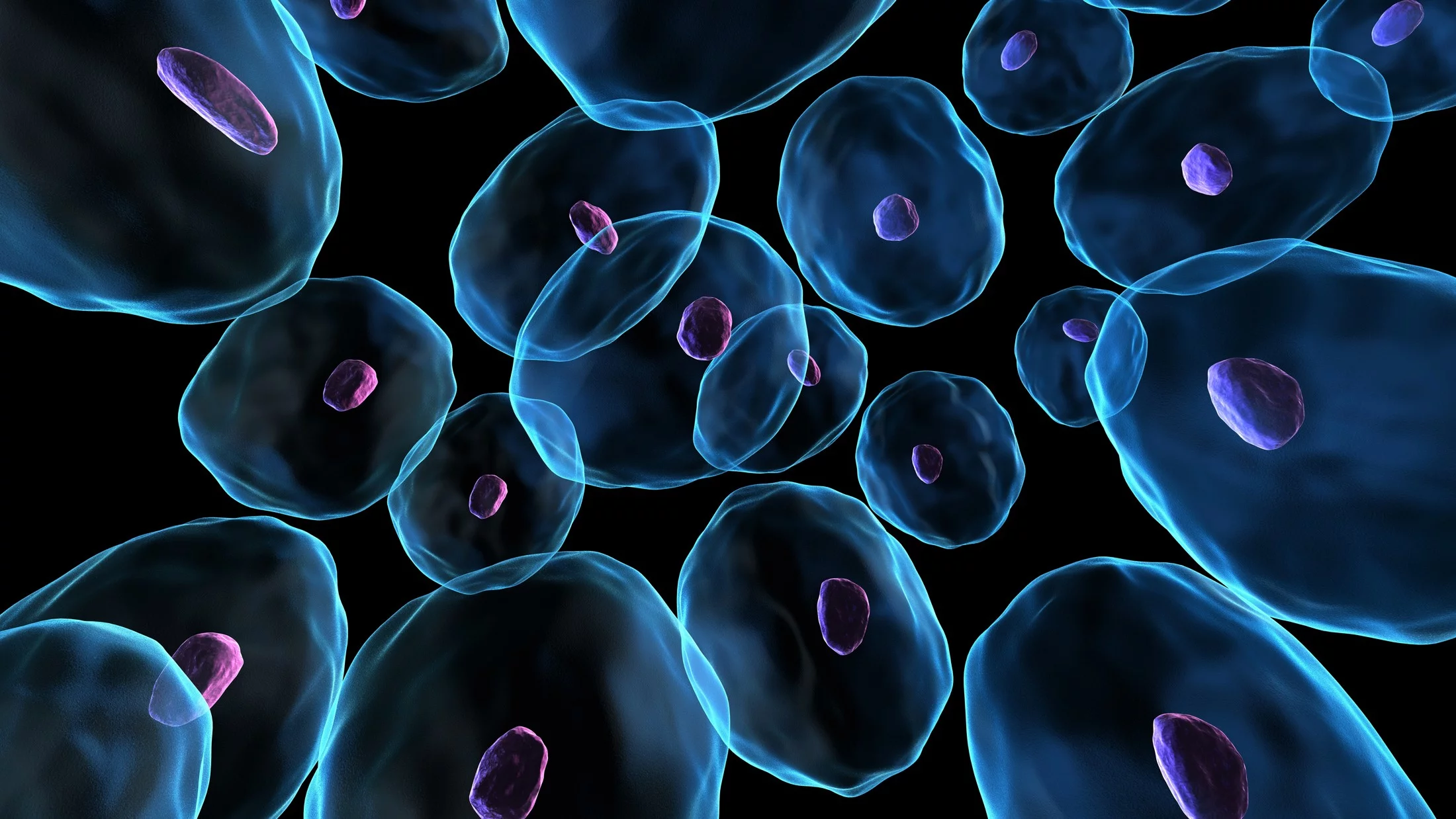 A single glance into the cell may be enough – the AI developed by researchers at PSI detects genetic perturbations solely by analyzing chromatin structure in the cell nucleus 