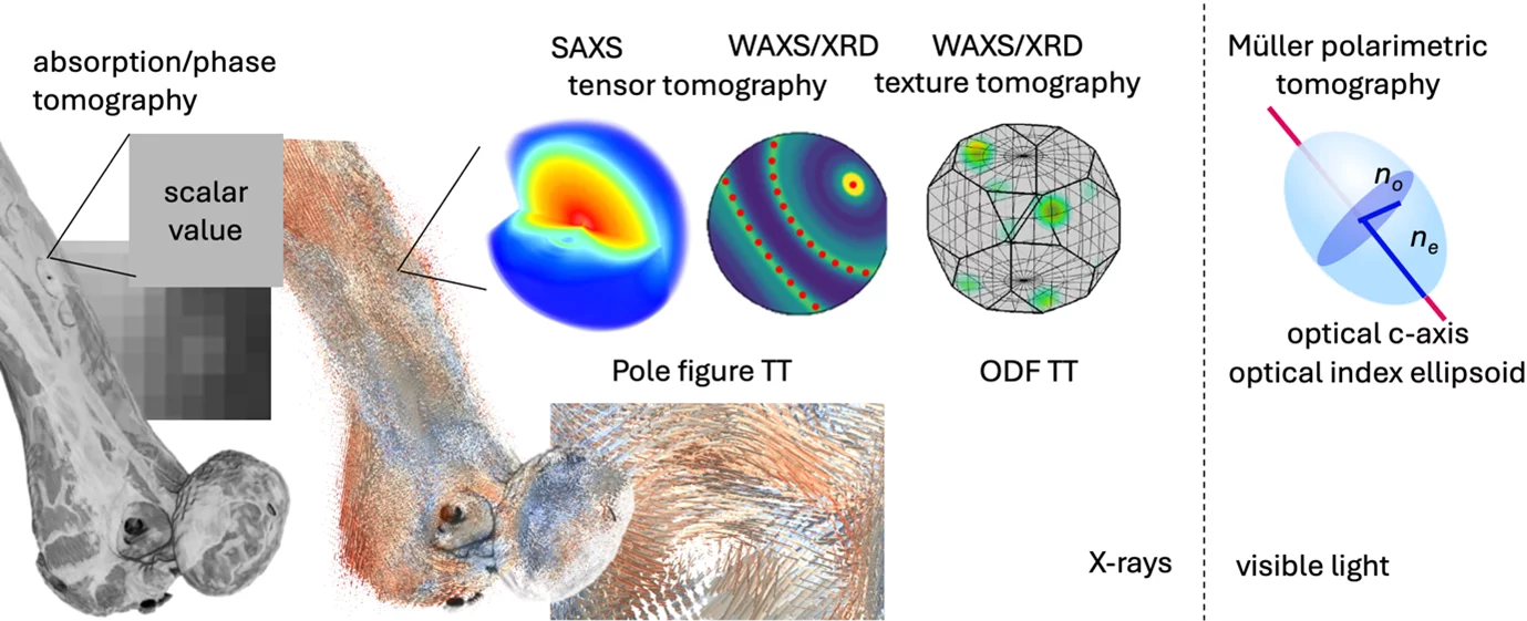 Tensor Tomography