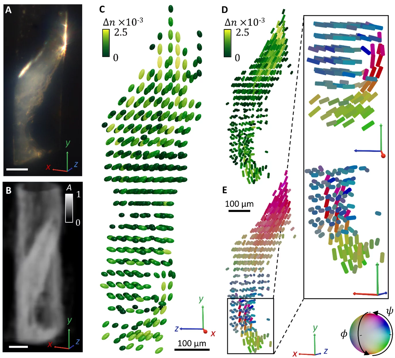 Example of results of TMPM